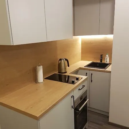 Gpk Apartamentai Apartment Vilnius
